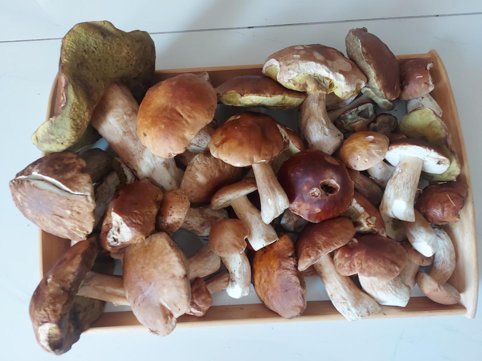 Apartman Abertamy Krusne Hory Dış mekan fotoğraf